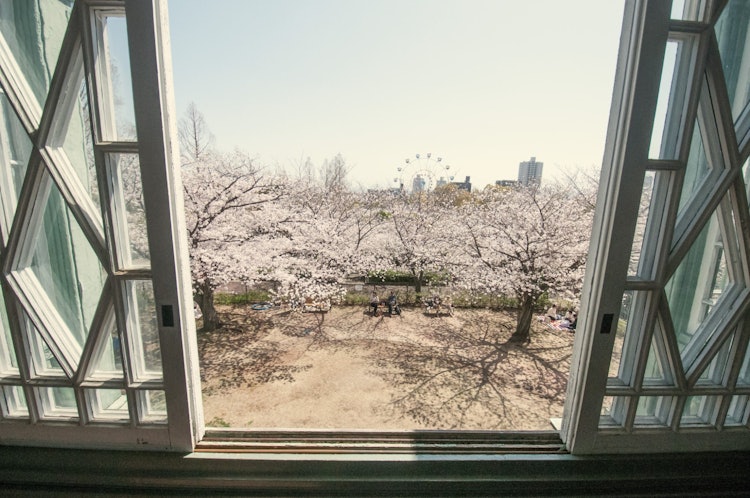 [相片1]弹簧窗。这是一个春日，每个人都可以自由放松。