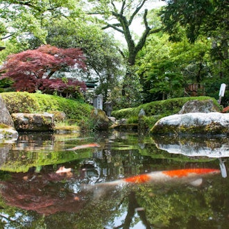 [Image2]Oi Shrine is the water god of the Oi River, and there is a kami pond with clear water in its precinc