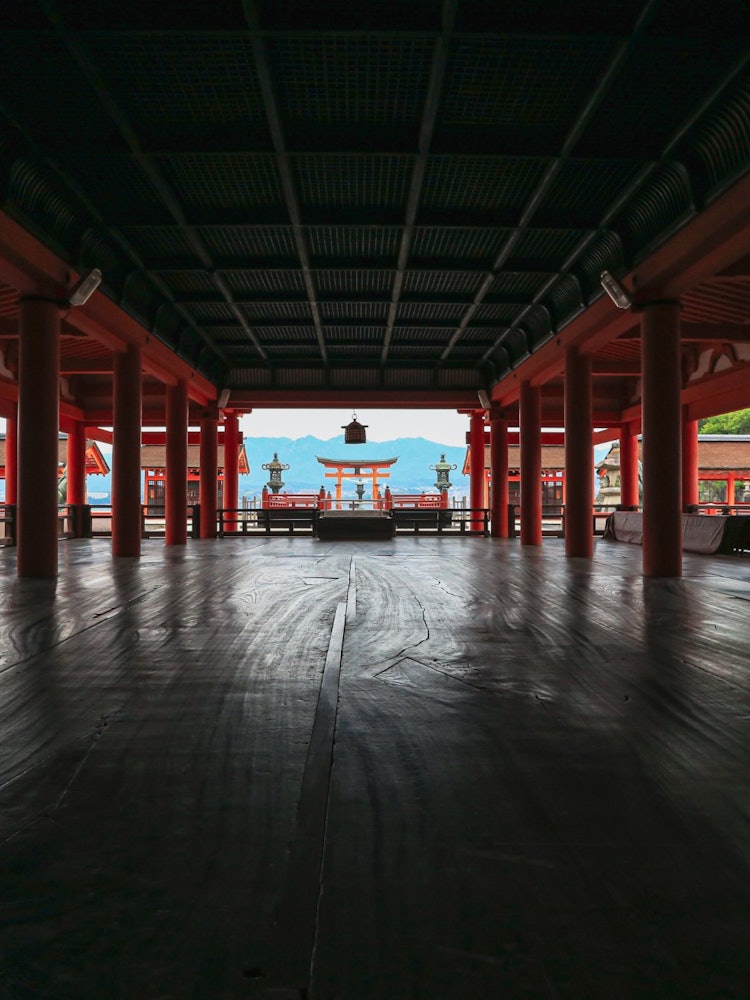 [Image1]広霌厳峳 Shrine有名な厳島神の境内にて