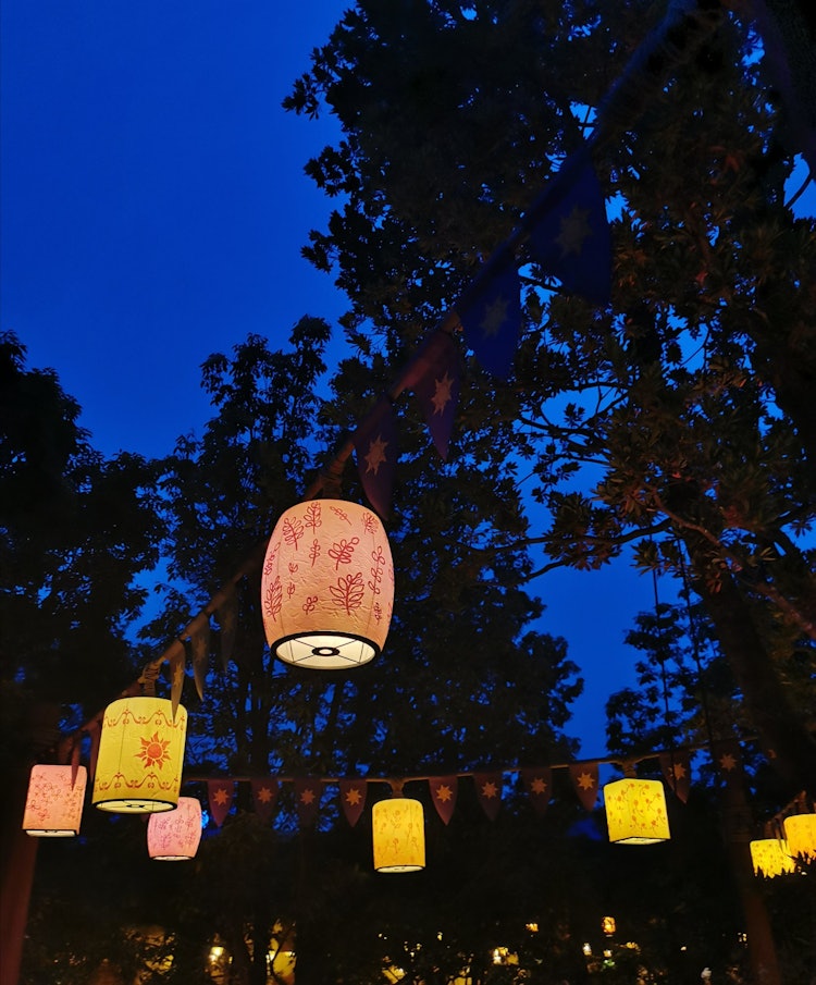 [相片1]TDS/梦幻泉长发公主地区，晚上的灯笼很漂亮 😊下次我想在白天看到它。