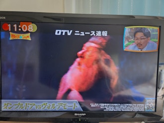 [相片2]打破！冲绳的雨季结束了！这是关于突发新闻ꉂ🤣