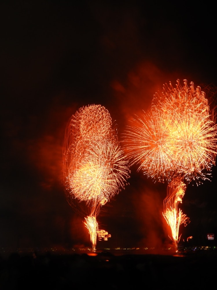 [Image1]Commemorating the 40th anniversary of the establishment of the cityThe 41st Urayasu City fireworks f