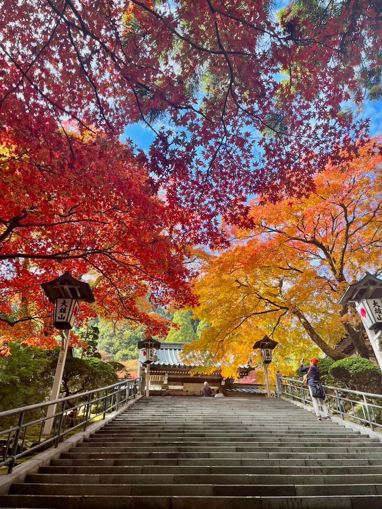 [相片1]当我们爬过神圣的空气时，一个美妙的景象在等着我们。 如果你穿过这条红叶隧道，你会发现西上寺。 我祈求世界和平，以便将来保留这美丽的秋天风景。