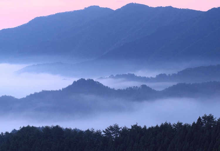 [画像1]奈良県野迫川村の雲海です。