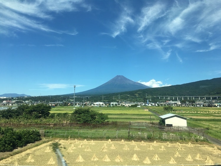 [画像1]新幹線の窓から見えた富士山。 手前の田んぼにも、小さな三角がたくさん。