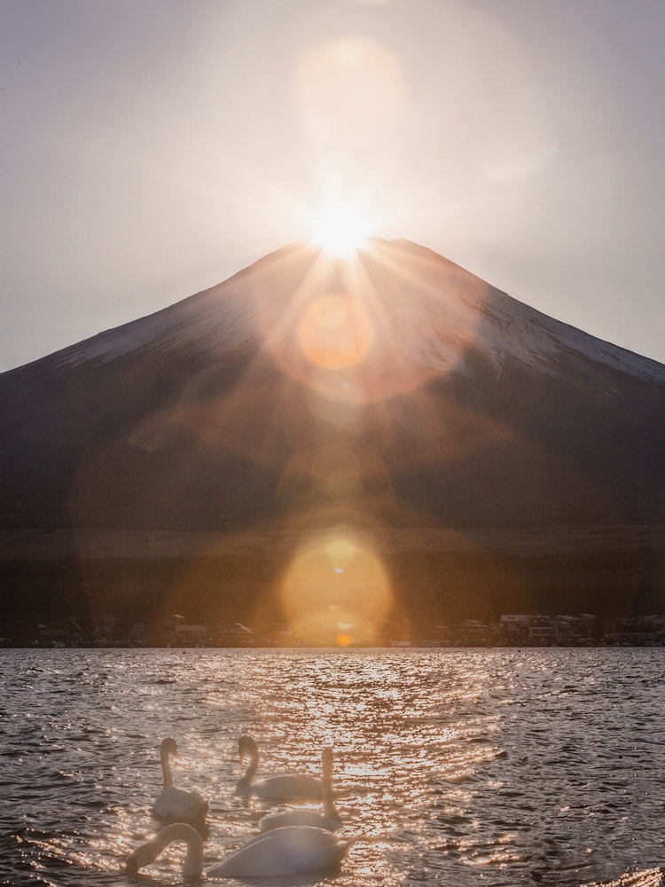 [Image1]Diamond Mt. Fuji and Shiratori-chanThank you for powering upShot in Lake Yamanaka, Yamanashi Prefect