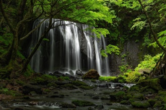 [画像2]福島県にある達沢不動滝！幻想的で素敵な滝でした。次は紅葉の時期にも行ってみたい場所の１つになりました。滝の近くに駐車場もあるので簡単に滝まで行けますよ！撮影機材！カメラNikon D850レンズAF-