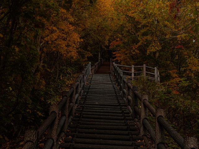 [画像1]秋へと進む路定山渓ダムからさっぽろ湖へ進む階段一段一段昇ることで景色がより秋に近づいて行きます