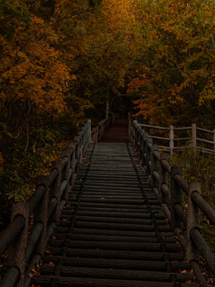 [Image1]The road to autumnStairs leading from Jozankei Dam to Lake SapporoBy ascending one step at a time, t