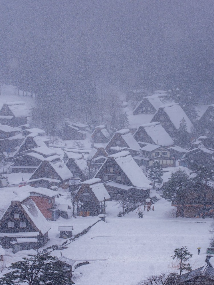 [相片1]日本的冬天雪中的白川鄉在岐阜2021.12.30