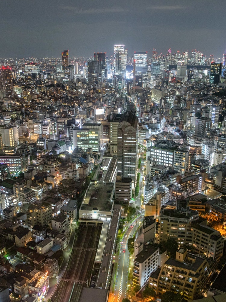 [相片1]象徵日本的新宿、澀谷的摩天大樓和惠比壽站周圍的城市景觀都在一張照片中捕捉到。
