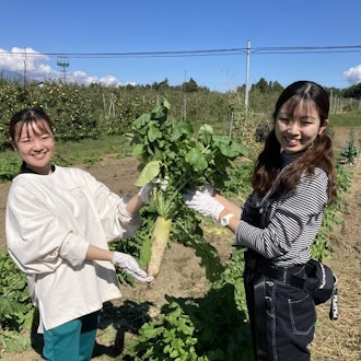 [Image1]◆ Vegetable harvesting experience ◆You can harvest a bag full of seasonal vegetables in each season.