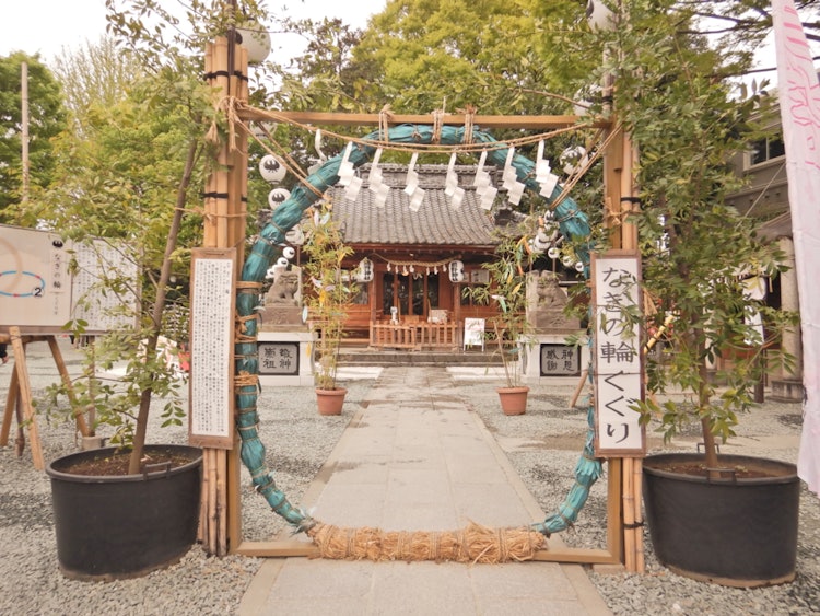 [相片1]在川越。 熊野神社 ⛩這是我早上出門第一件事的照片，當時沒有遊客，空氣清新。 它在酒店附近，所以當我去那裡時，幾乎沒有人🤭。