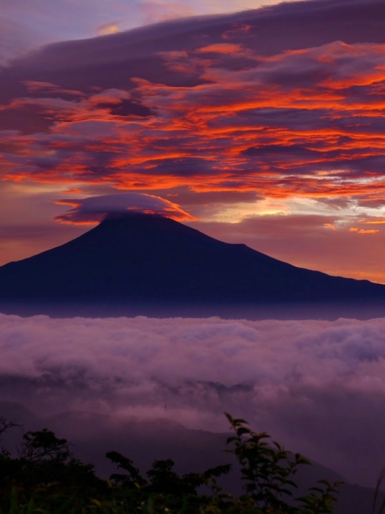 [Image1]On a hot morning after the rainy season, clouds near Mt. FujiBurnt The sea of clouds spread Shooting