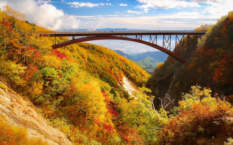 [Image1]This is the autumn leaves of Fudosawa Bridge seen from Tsubakuro Valley in Fukushima Prefecture. The