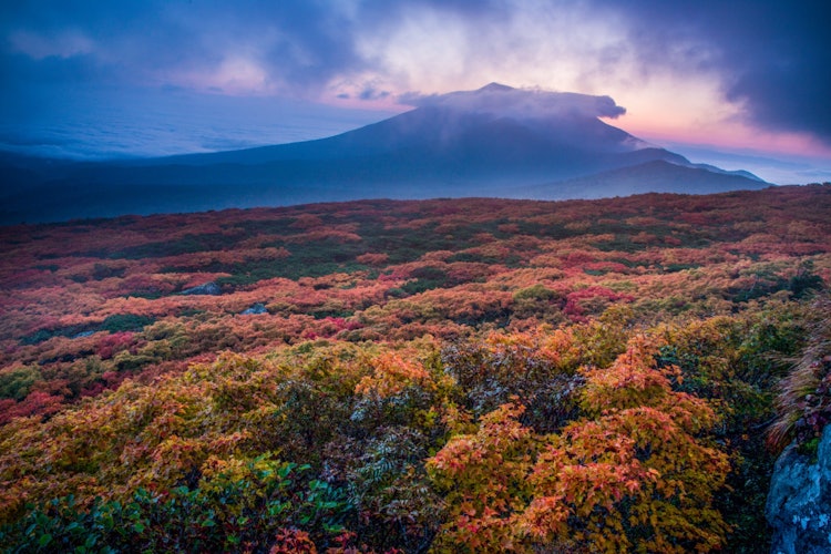 [相片1]它是岩手縣三石山的紅葉。 三石山以東北地區最早的紅葉而聞名，但從山頂附近眺望的紅葉被染成鮮紅色，非常美妙。 這張照片是在日出前拍攝的，包括岩手山。