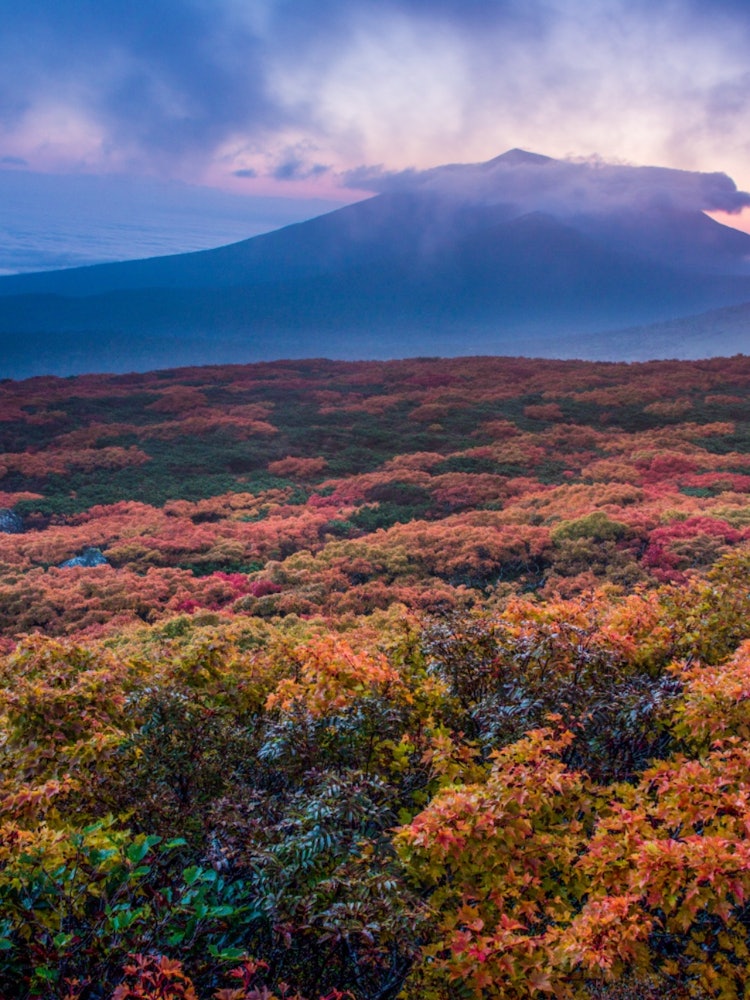 [Image1]It is the autumn leaves of Mitsuishiyama in Iwate Prefecture. Mt. Mitsuishi is famous for welcoming 