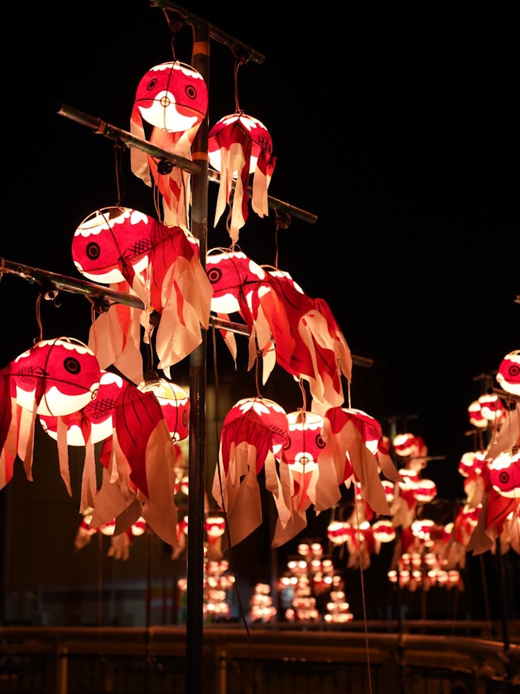 [画像1]山口県柳井市の祭り「柳井金魚ちょうちん祭り」です。白壁の街中で、ほのかに灯る「金魚のちょうちん」は、どこかユーモラスで、「金魚ちょうちん」から洩れる優しい灯りが幻想的な雰囲気を醸し出します。２０２３年