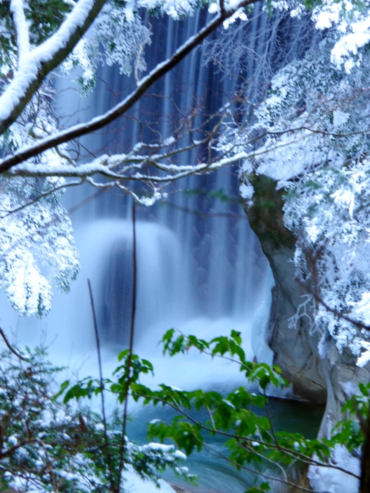 [画像1]中房渓谷森の中からちらっと見える中房川の滝