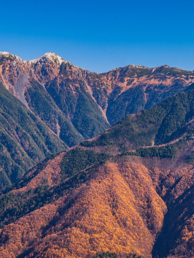 [Image1]Southern Alps in autumn color. At Shirabiso Highlands.