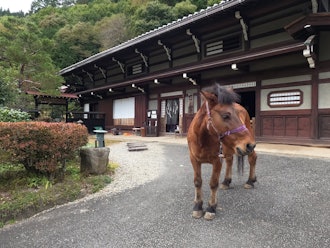 [이미지1]히다 다카야마의 일본 문화 유산, 타가미 패밀리 레지던스 (Takumi-no-kan Forest Aquarium)히다의 장인이 12년에 걸쳐 만든 코민카로, 지금도 기소 말과 함께