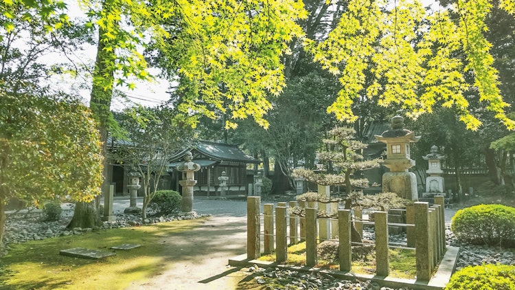 [画像1]📍多田神社/兵庫 Tada Shrine/Hyogo 多田神社は清和源氏発祥の地であり、酒呑童子を討伐した鬼退治伝説の残る歴史ある神社でもあります。 今の季節は新緑がとても綺麗で、その歴史を肌で見て感