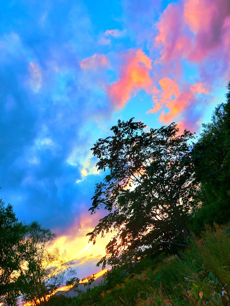 [画像1]羊蹄山の麓にある我が家からの夕焼けです！秋晴れの日はとくに美しく染まります！
