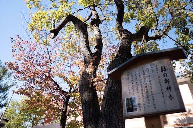 [画像2]空知神社真夏の強い日差しの日でも、ここは木々に囲まれ木陰が多くあるからか、いつも少しひんやり涼ませてくれる。 昔から受け継がれてきた伝統と雰囲気がどこか心を落ち着かせてくれる場所が美唄の中心地にある“