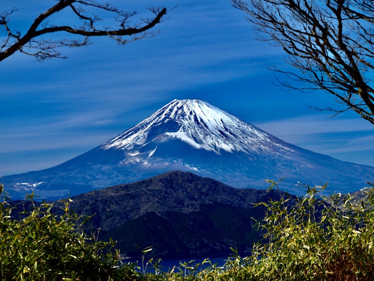[画像1]箱根 椿ラインからの眺望自然に出来たのか？ 綺麗な額縁🖼にどっしり構える富士山🗻が見えました。