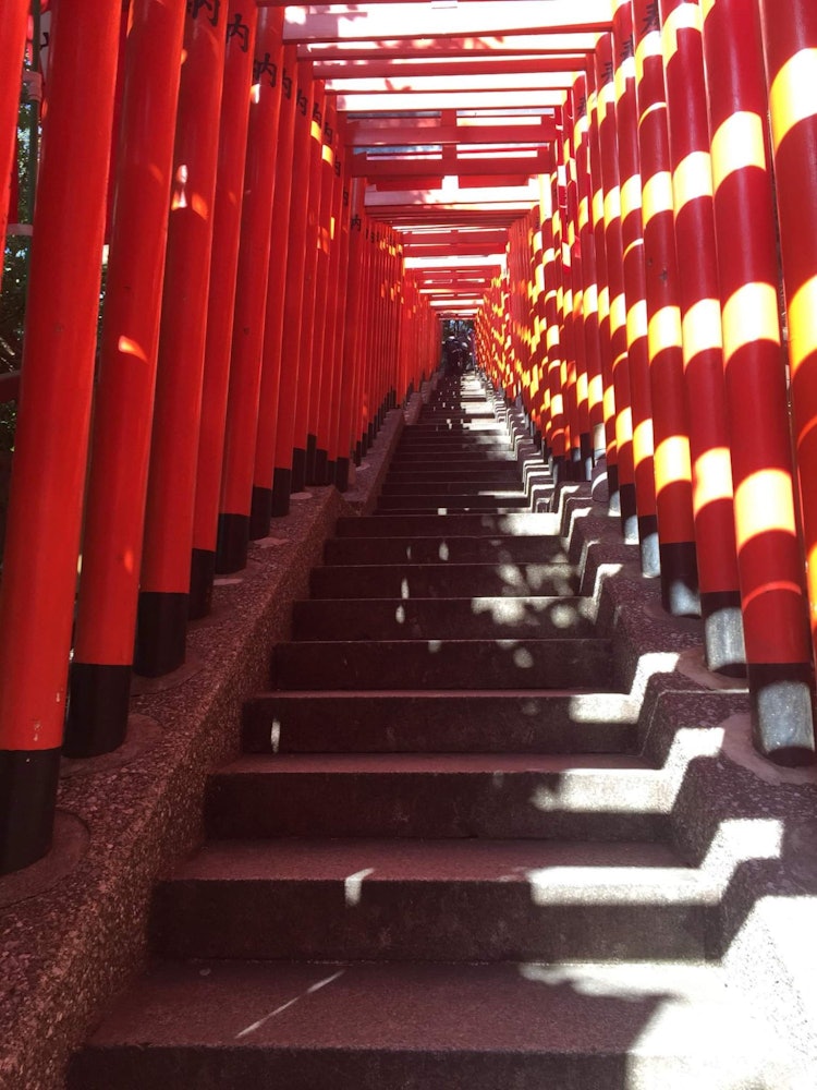 [相片1]比重神社是東京都永田町地區非常受歡迎的旅遊景點。這裡供奉的神被認為是德川家族的守護神。在寺廟區外有幾個鳥居，看起來非常漂亮。所以，我今天推薦的旅行地點是比惠神社。