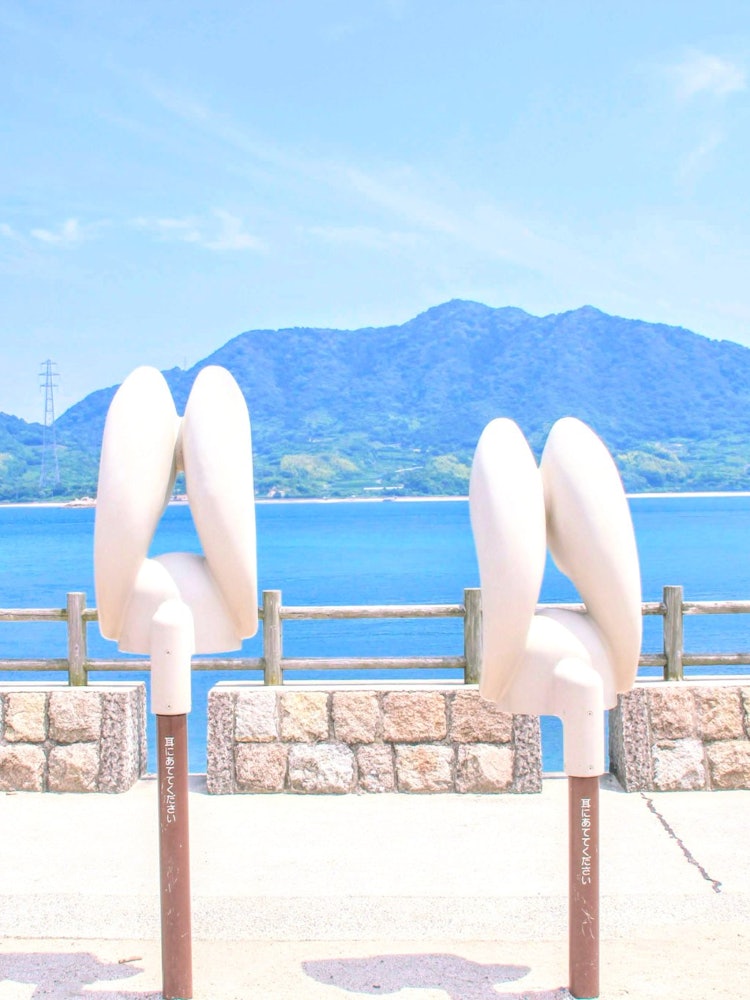 [画像1]2023年におすすめしたい日本の観光スポット、といえば広島県・竹原にある「大久野島」別名「ウサギ島」です！かつて毒ガス工があったこともあり、悲しい歴史を持つ島でもありますが、現在は国立公園に指定され、