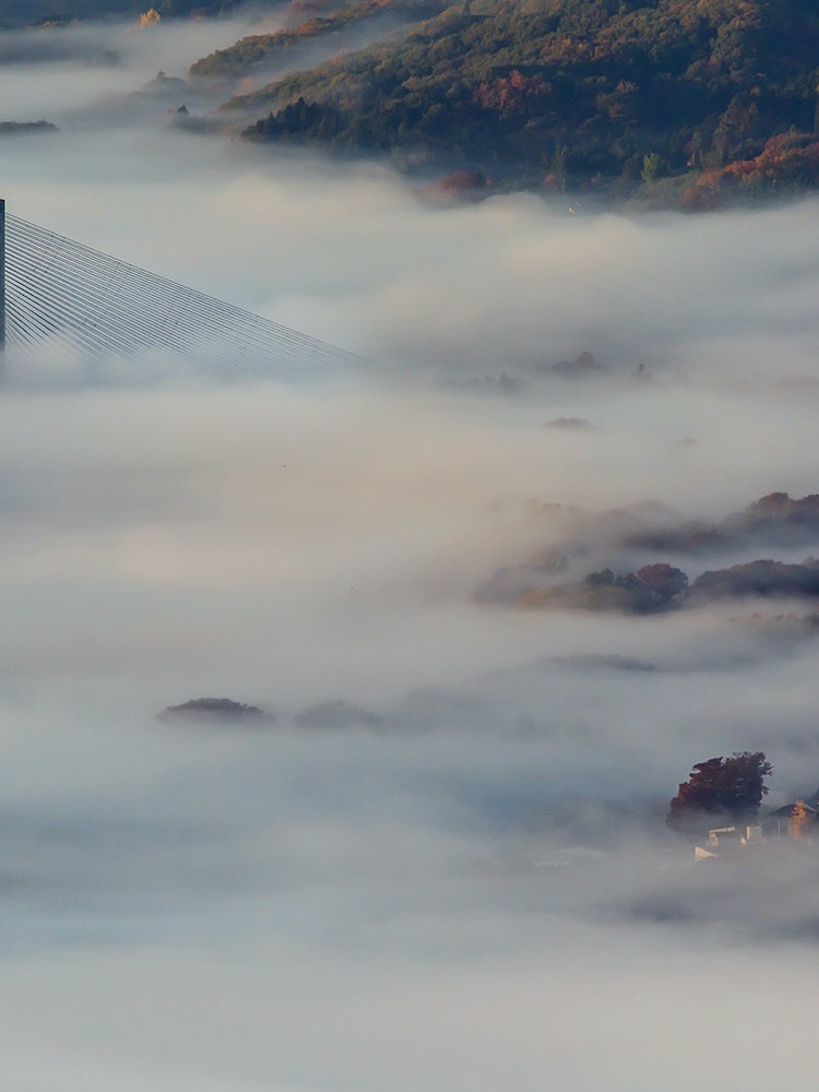 [画像1]秩父盆地では、夜に地表付近の空気が冷えて霧が発生することが多く、市街地を覆うように雲海が発生します。 「都心から一番近い雲海」として注目を集めています。