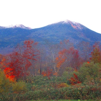 [Image1]There is white snow at the summit of Hakkoda.Kuroishi Nakano Momiji Mountain is turning red