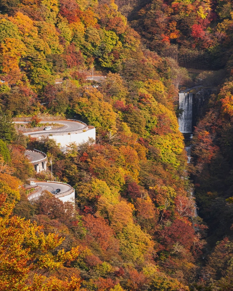 [相片1]Irohasaka与锦缎位于栃木县日光市　　　　　　　　　　“伊吕哈坂”每年红叶季节，伊吕波都是造成交通拥堵的热门景点。整座山被染成金色，向你展示一个🤤不一样的世界