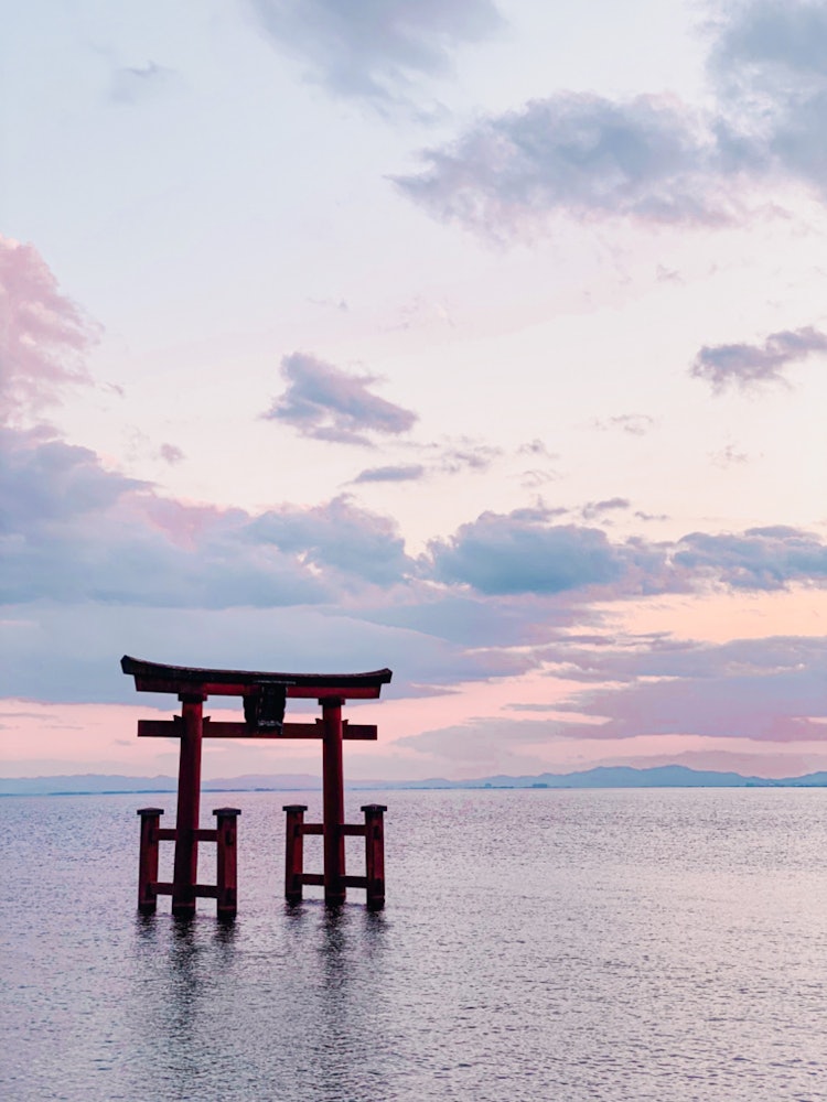 [Image1]Konaka Torii ⛩Shirahige Shrine in the west of Lake BiwaThe torii gate floating in the morning glow i