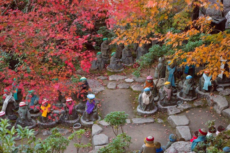 [相片1]它是位于广岛县廿日市宫岛的大圣院。 秋天的树叶和地藏的五颜六色的帽子引起了我的注意。