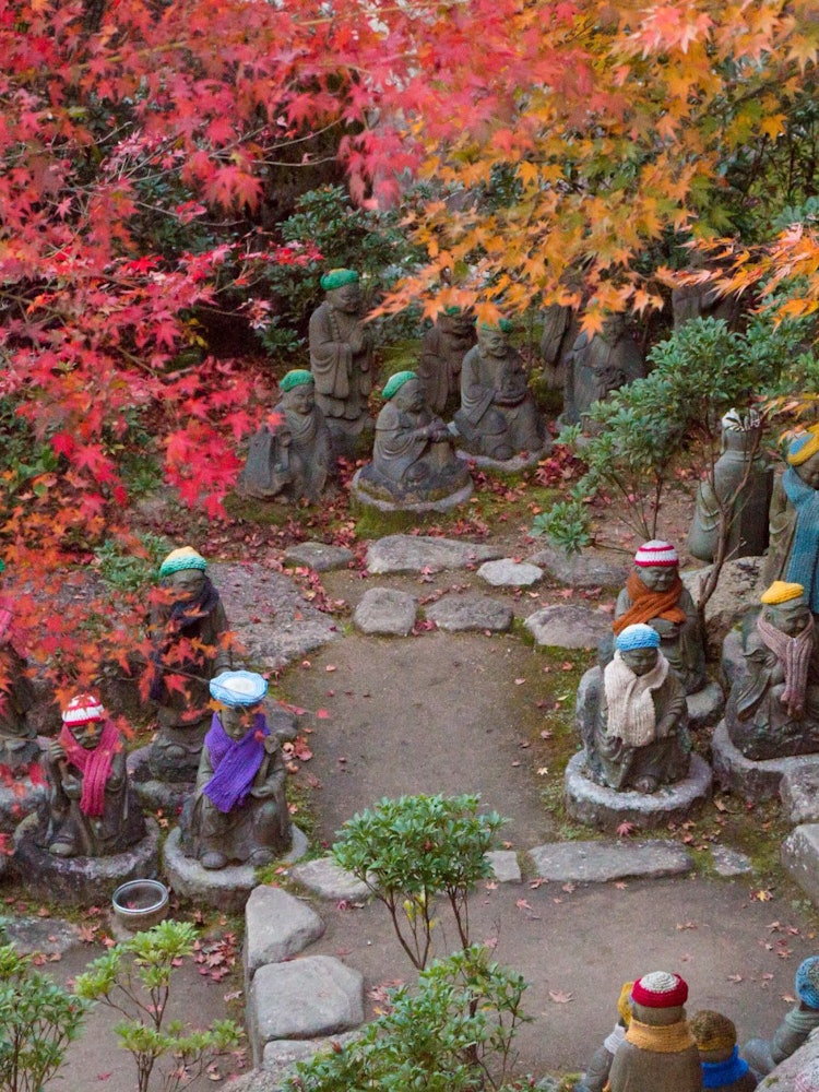 [相片1]它是位于广岛县廿日市宫岛的大圣院。 秋天的树叶和地藏的五颜六色的帽子引起了我的注意。