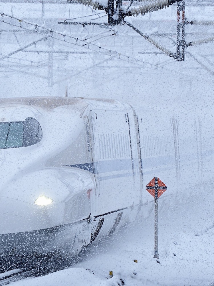 [画像1]東海道新幹線 米原駅にて撮影。強い寒波が日本列島を襲い、滋賀県北部でも大雪になりました。在来線は大きな遅れが出始める中、新幹線は20分程の遅れで走り抜けていきました。