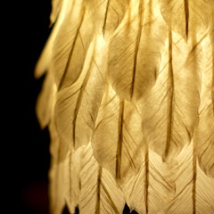 [画像2]素敵な世界に羽ばたけるように想いを込めて繊維が長くちぎるとふわっとする和紙を見ていて、羽根をつくってみたいと思いました。師匠から教えていただいた技術を生かして、和紙の羽根ができたときの喜びは今でも忘れ