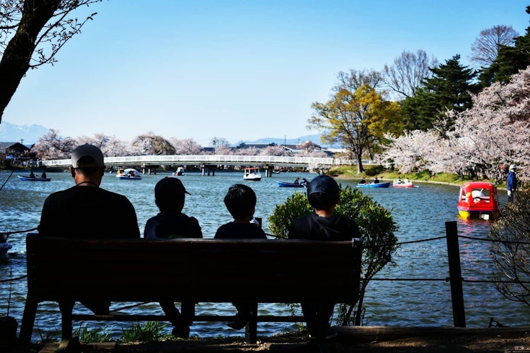 [相片1]在櫻花盛開的公園裡休息