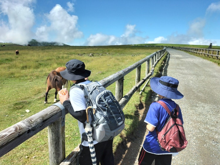[画像1]美ヶ原高原/長野県散策しているとポニーが近づいてきました。