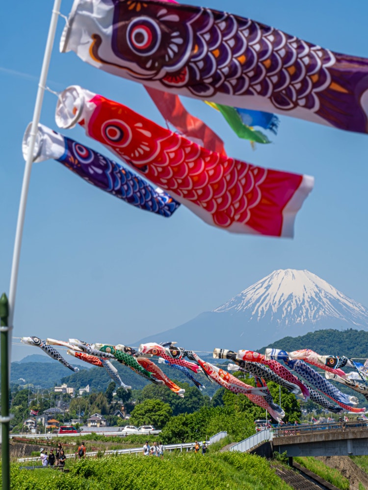 [Image1]Carp streamers festival in SuzukawaAs part of Suzukawa's environmental protection activities and the