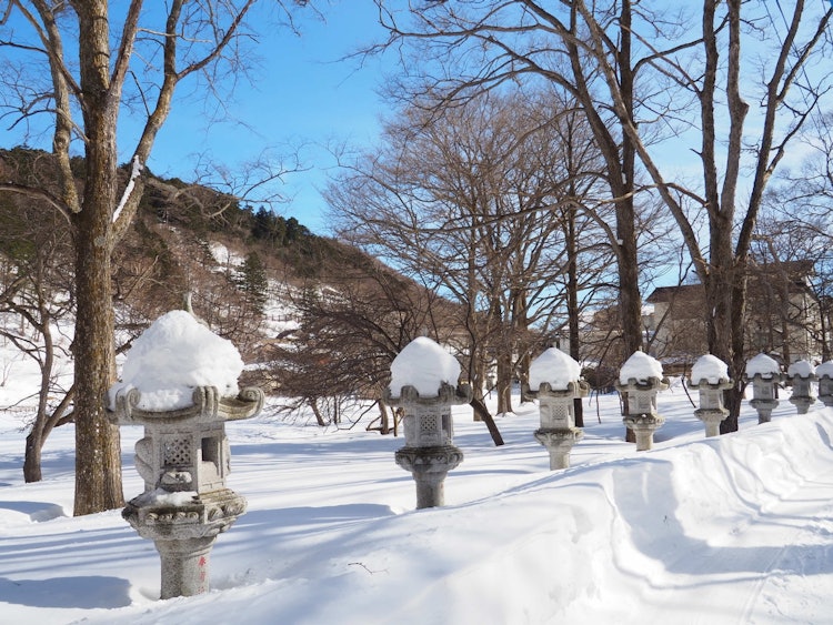 [画像1]栃木県奥日光温泉寺に向かう参道並んだ灯篭に積雪が、おそろいの帽子をかぶっているみたいです。参道の途中から湯元源泉まで木道が続いてます。木道からの景色も絶景です。