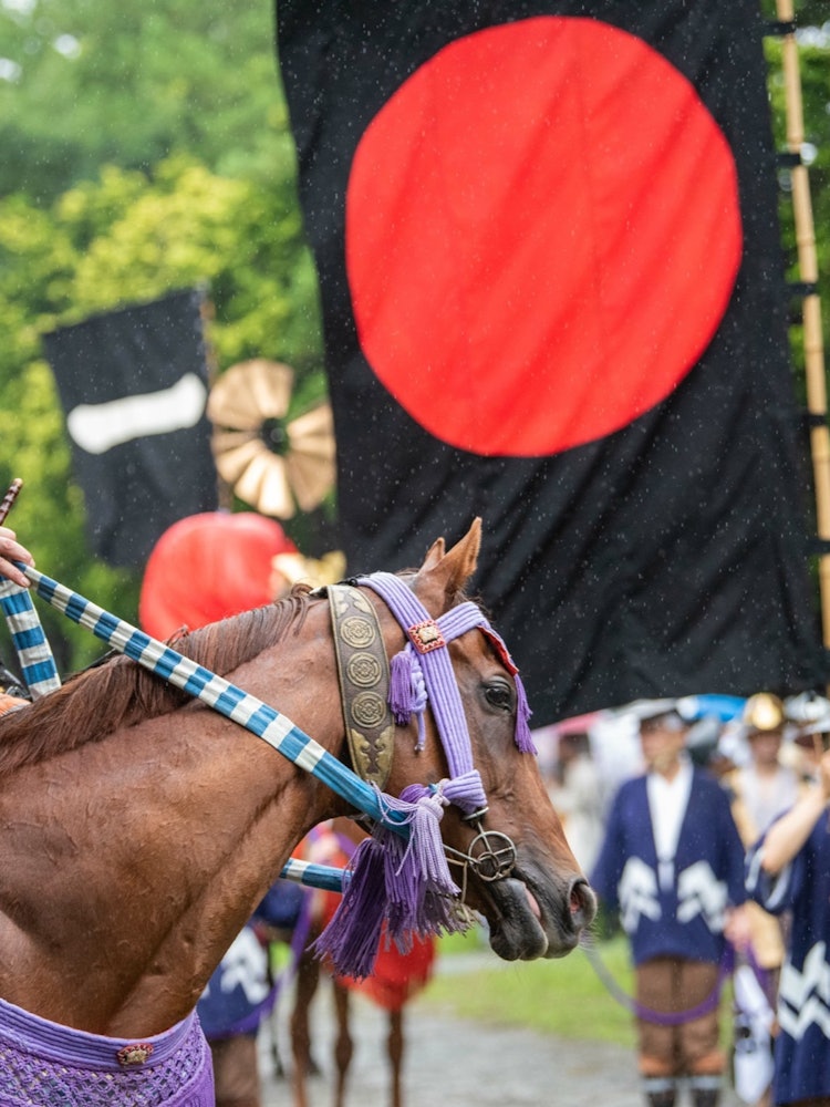 [画像1]福島県相馬地方で7月に開催されり相馬野馬追。甲冑を纏い馬を操る姿は戦国時代そのもの。