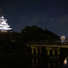 [Image2]Osaka Castle, whose moat was filled in during the Osaka Winter Siege, fell on May 8, 1615.What is tr