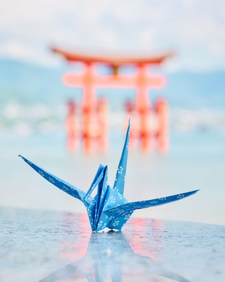 [相片1]跟隨折紙鶴，帶著來自世界遺產宮島的願望， 🙏今年，我決定為一周後的平安祈禱。 明天將是一周。一如既往，感謝您的收看。 🙏✨✨