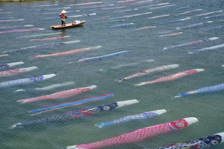 [相片1]这是每年5月3日至5日在山口县后府市举行的“萨巴川锦鲤流”。 在清澈的溪流中游动的鲤鱼飘带是杰作。“欢快地游泳！即使在当地，这也是一个仍然未知的事件，但请来参观我们。