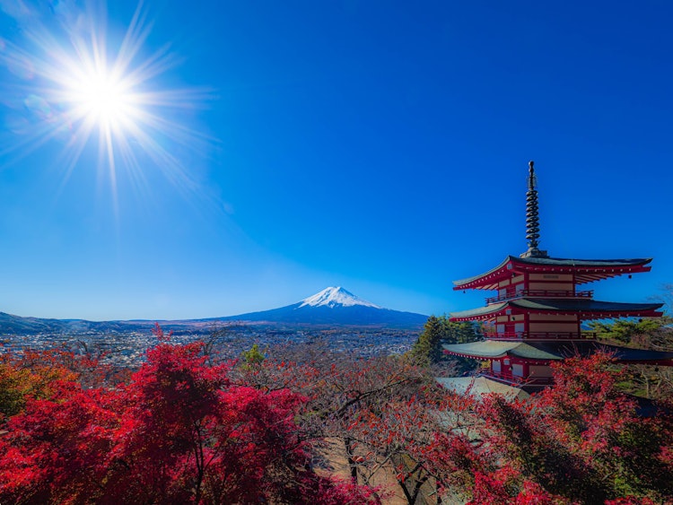 [画像1]桜で有名な新倉山浅間神社秋の紅葉も綺麗です。日本らしい富士山と紅葉と三重塔もうここは海外の方にもメジャーなスポットみたいで、いつ行っても海外の観光客の方が多いです。