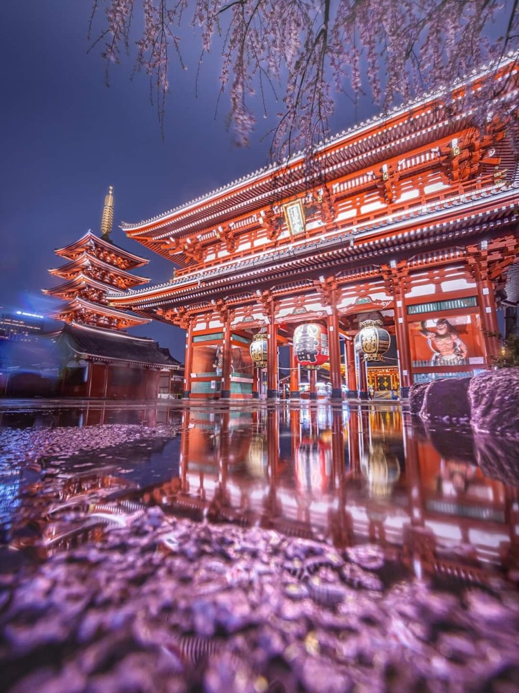 [Image1]I sandwiched 🙂🌸 the top and bottom of the reflection of Sensoji Temple with drooping cherry blossoms