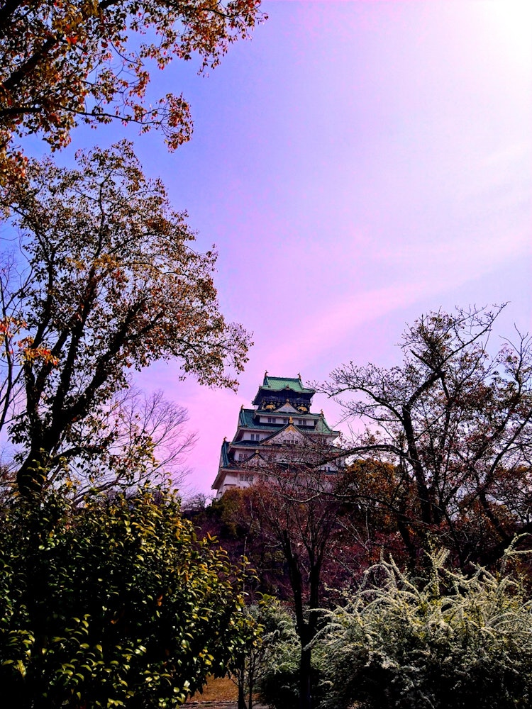 [Image1]Osaka Castle as seen from Osaka Castle Park and Nishinomaru Garden in Osaka City. There is an admiss